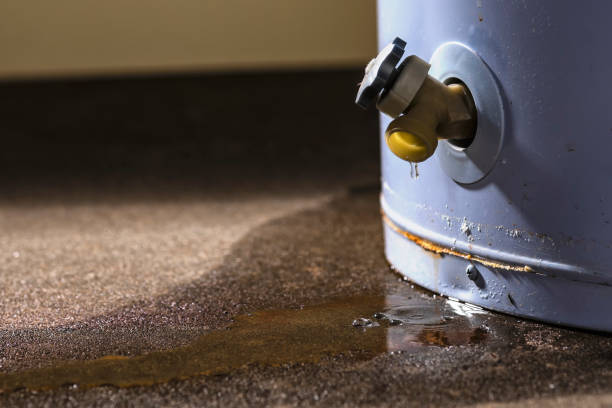 Best 24/7 water damage repair  in Grayvle, IL
