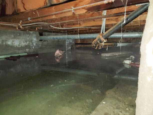 Fire Damage Restoration in IL
