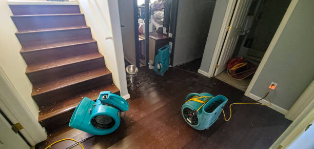 Best Basement water damage restoration  in Grayvle, IL