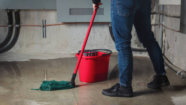 Best 24/7 water damage repair  in Grayvle, IL