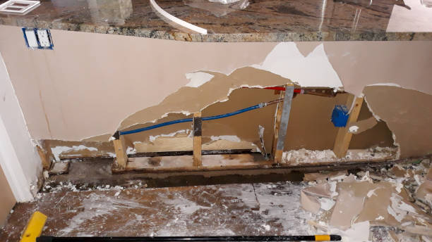  Grayvle, IL Water damage restoration Pros