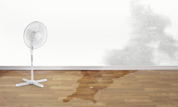 Best Residential water damage restoration  in Grayvle, IL