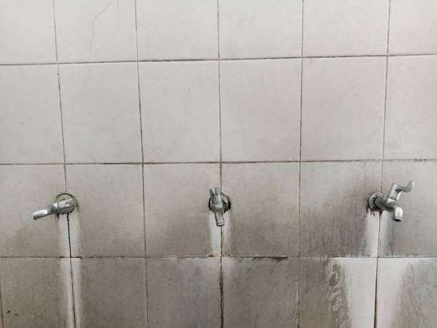 Best Water damage contractors near me  in Grayvle, IL