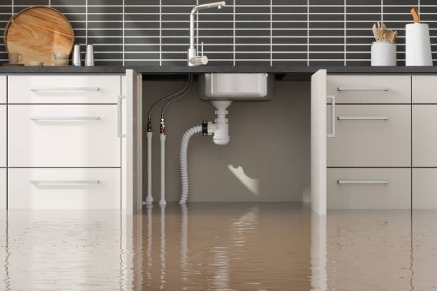 Best Ceiling water damage repair  in Grayvle, IL